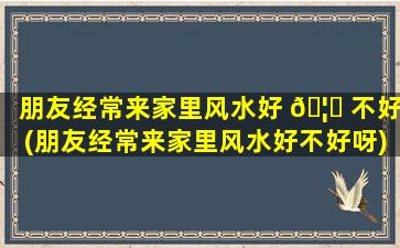 朋友经常来家里风水好 🦋 不好(朋友经常来家里风水好不好呀)